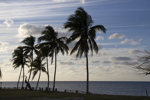 Cuba 2014